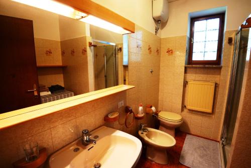 een badkamer met een wastafel, een toilet en een spiegel bij Gaber B&B in Gabrovizza San Primo