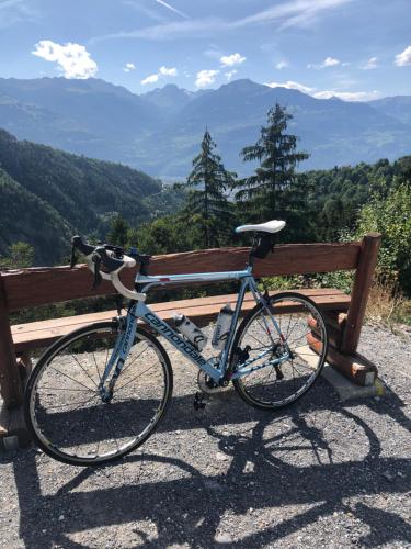 a bike parked next to a wooden bench at Le Preyet in Veysonnaz