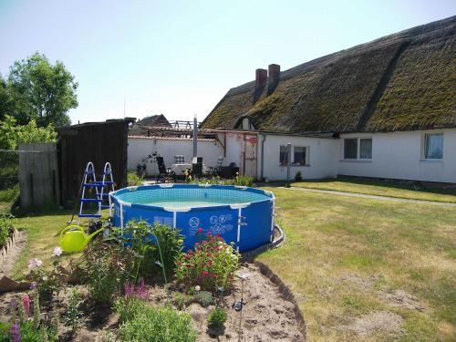 a house with a yard with a pool in front of it at Reethaus Natalie in Korswandt