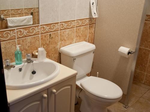 a bathroom with a toilet and a sink at Tricky's Hotel in Redruth