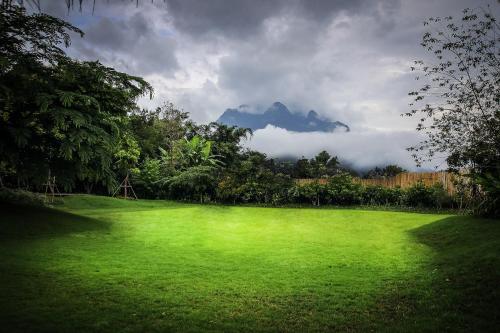 a large green field with a mountain in the background at Azalea Village in Chiang Dao