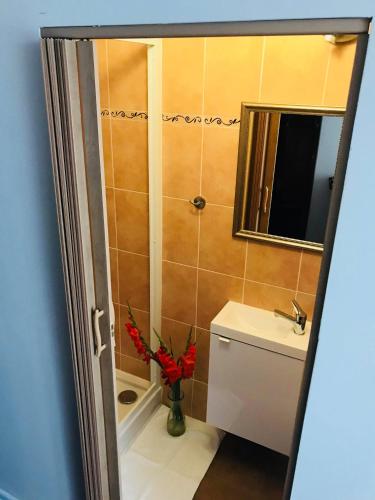 a bathroom with a toilet and a sink and a mirror at Willa Sorrento in Szczecin