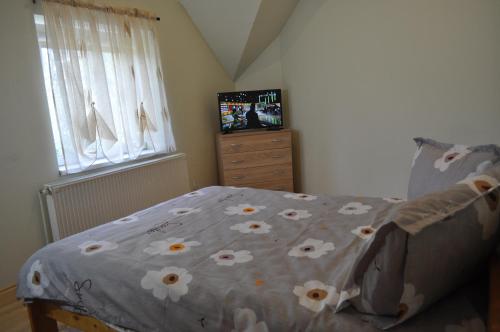 um quarto com uma cama com colcha floral e uma televisão em Casa Diu em Avrig