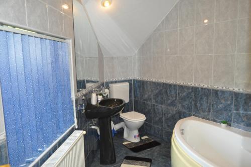 La salle de bains est pourvue de toilettes, d'un lavabo et d'une baignoire. dans l'établissement Casa Diu, à Avrig