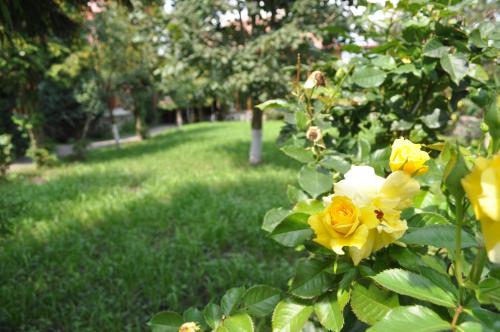 Afbeelding uit fotogalerij van Casa Diu in Avrig