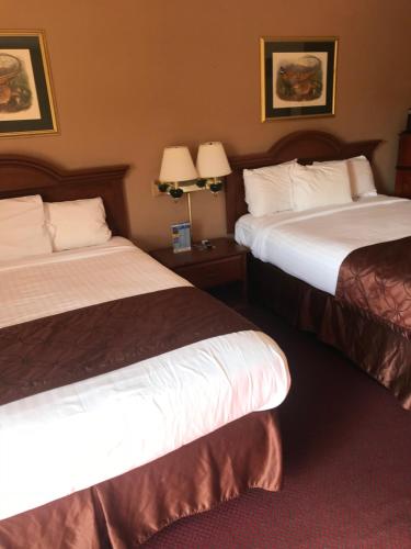 Voodi või voodid majutusasutuse Shamrock Motel Hot Springs toas
