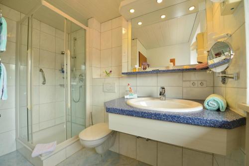 a bathroom with a sink and a shower and a toilet at Hotel Landhaus Schmid in Fischen