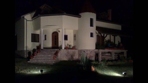 a large white house with stairs in front of it at Holiday Home Rodjak sa sela in Mionica