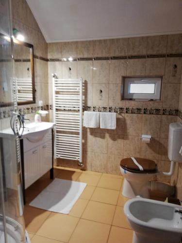 a bathroom with a toilet and a sink at Casa Jasmin in Bran