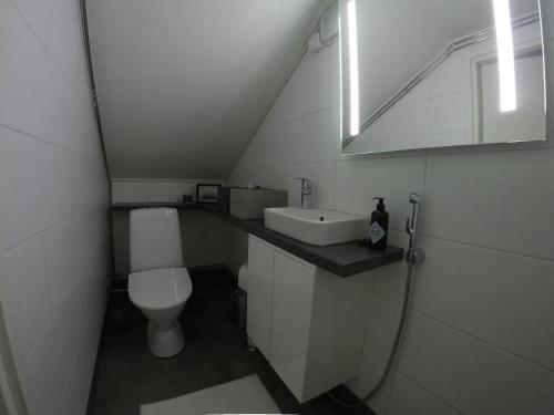 Un baño pequeño con inodoro y lavabo. en Beautiful holiday home (studio) in Rovaniemi, en Rovaniemi