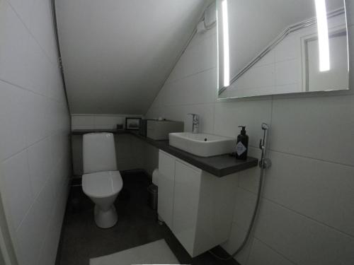 a small bathroom with a toilet and a sink at Beautiful holiday home (studio) in Rovaniemi in Rovaniemi