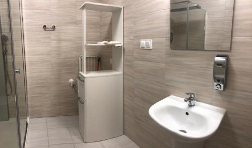 ヴァドヴィツェにあるApartament Sutemiのバスルーム(シンク、鏡付きシャワー付)