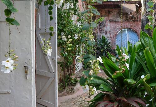 an open door to a garden with plants and flowers at Hotel Florita Residential Hotel in Jacmel