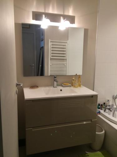 La salle de bains est pourvue d'un lavabo et d'un miroir. dans l'établissement casaisabel, à Bordeaux