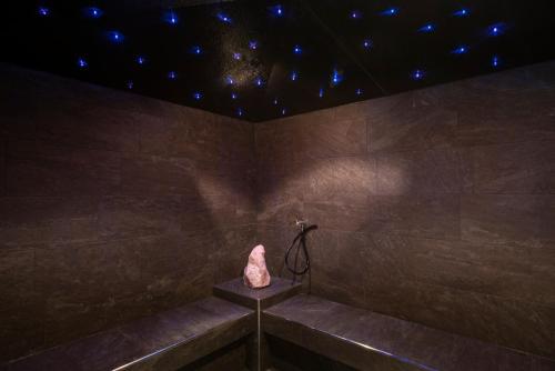 a bathtub with a rock in the corner of a room at Hotel Mischun in Brigels