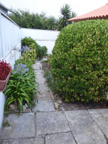 a garden with a hedge and flowers next to a fence at Casinha Amarela in Sintra