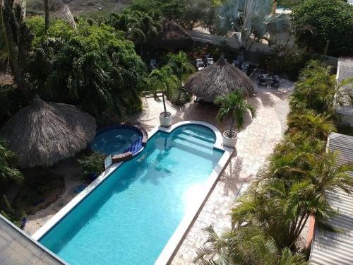 Kolam renang di atau dekat dengan Bananas Apartments Adults Only