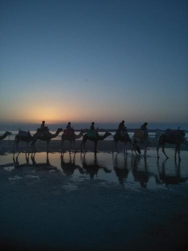 a group of people riding horses on the beach at Caverne d'Ali Baba in Essaouira