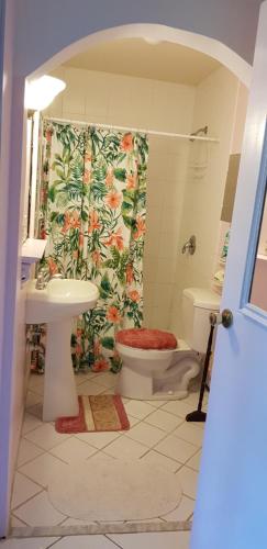 a bathroom with a shower and a toilet and a sink at Bajamar Your Second Home Guest Property in Freeport