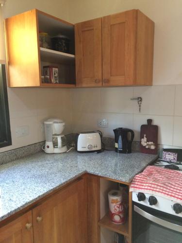 a kitchen with wooden cabinets and a counter top at 678 Mascardi Roca Malen in San Martín de los Andes