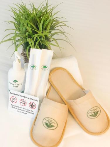 a pair of shoes and a pair of towels and a plant at GreenTree Inn & Suites Los Angeles - Alhambra - Pasadena in Alhambra