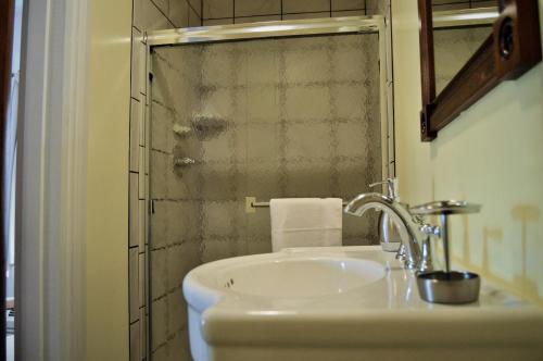 een badkamer met een witte wastafel en een spiegel bij Hawksbill House - (Adults Only) in Luray