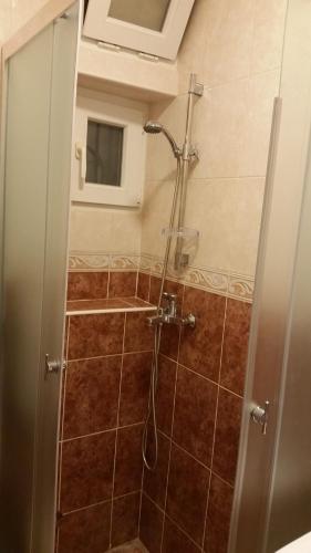 een badkamer met een douche en een glazen deur bij Alux Apartment in Belgrado