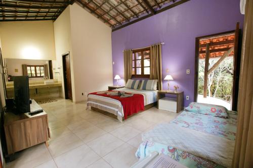 Schlafzimmer mit lila Wänden, einem Bett und einem TV in der Unterkunft Chalés Ima Teva in Lençóis