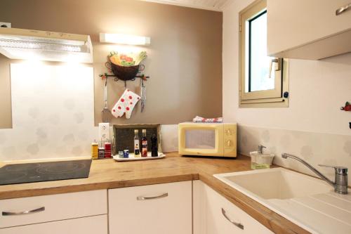 a kitchen with a sink and a microwave at Villa Melodie St Remy 6HA Piscine in Saint-Rémy-de-Provence