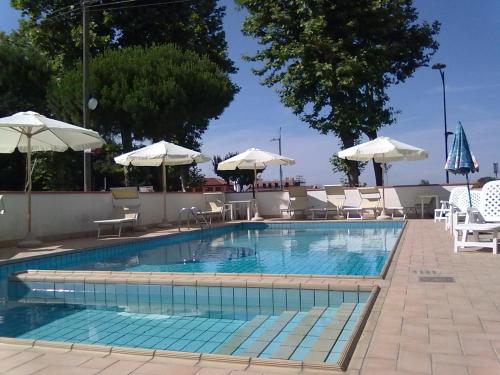 una piscina con sillas y sombrillas en Hotel Magnolia en Comacchio