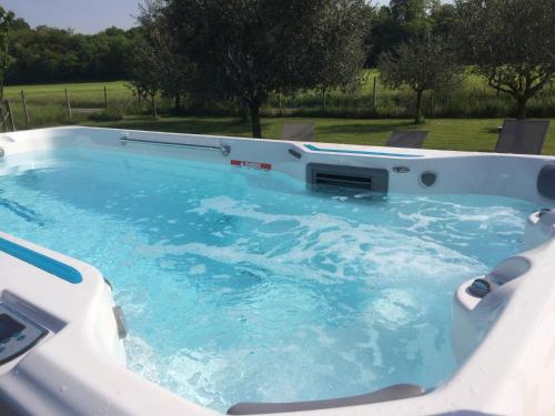 a large hot tub with blue water in a yard at Agriturismo Al Tralcio in Valeggio sul Mincio