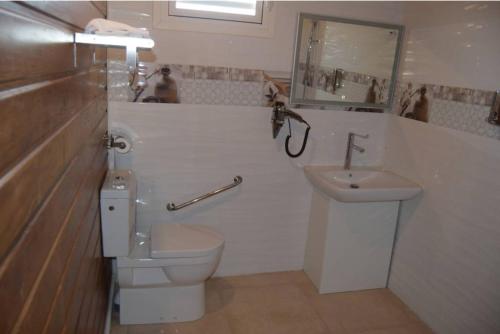 a bathroom with a toilet and a sink at Gîte étoile du matin Grand-bourg de Marie-galante in Grand-Bourg