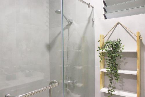 a shower with a glass door with a potted plant at GM Rentals SafeStay Apartment at Mactan Airport in Mactan