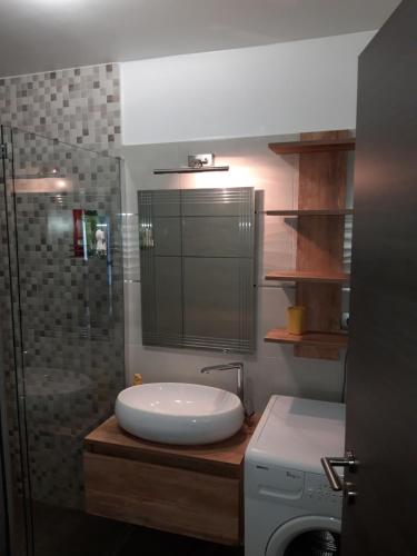 ein Badezimmer mit einem Waschbecken und einer Waschmaschine in der Unterkunft Apartman Mohenski in Zagreb
