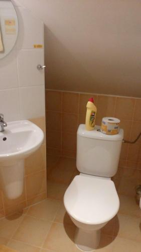 a bathroom with a white toilet and a sink at Pod Smrcinou in Nová Pec