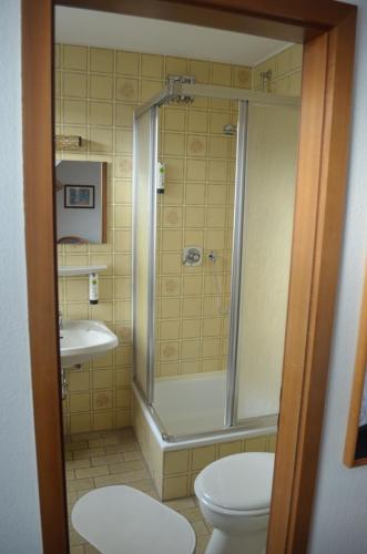 a bathroom with a shower and a toilet and a sink at Niedereher Mühle in Niederehe