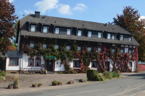 a building covered in ivy on the side of a street at Niedereher Mühle in Niederehe