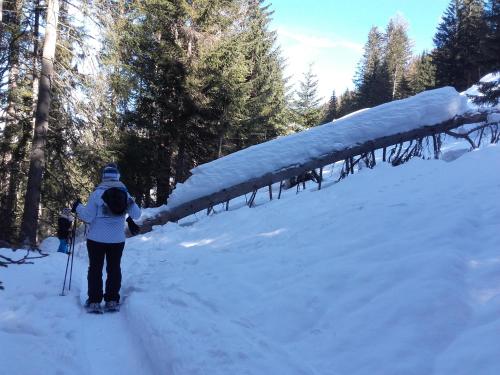 a person on skis walking in the snow at Le Thabor in Valfréjus