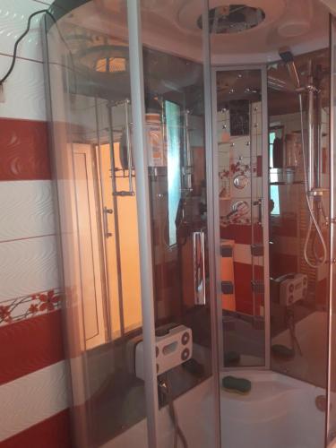 a view of a room with a shower in a train at Olimpia Apartments in Alba Iulia