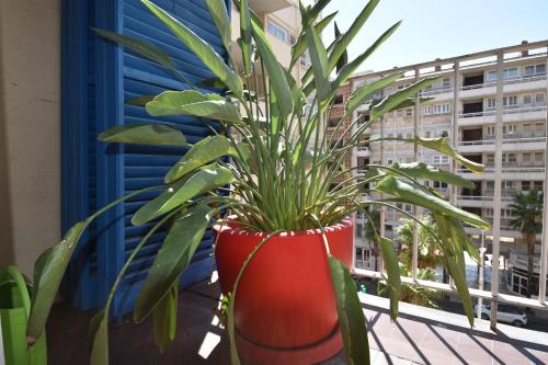 Le Gambetta – Photos 3