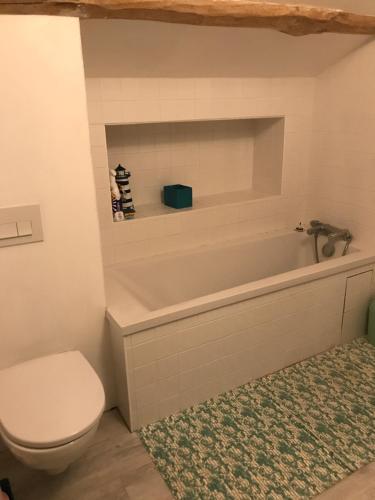 a bathroom with a toilet and a bath tub at LA CHEVRIÈRE EN PERIGORD in Villetoureix