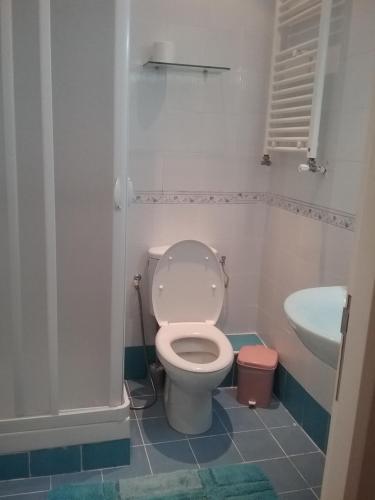 a bathroom with a toilet and a sink at L'appartement bleu de la Marsa in La Marsa