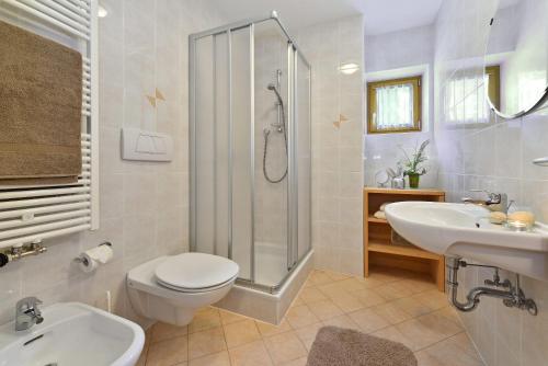 a bathroom with a toilet and a sink and a shower at Fuchshof in Perca