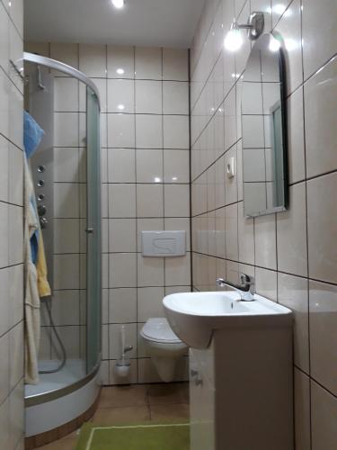 a bathroom with a sink and a shower and a toilet at Apartament pod Zakrytym Mostem in Lądek-Zdrój