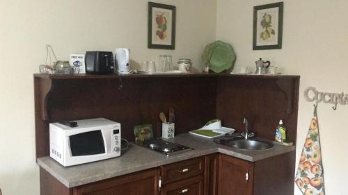 a kitchen counter with a microwave and a sink at Villa Toscana in Hajdúszoboszló