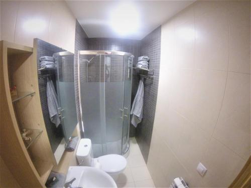 ログローニョにあるCentro Histórico San Agustínのバスルーム(シャワー、トイレ付)