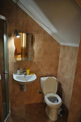 a bathroom with a toilet and a sink at Квітковий двір in Golubinoye