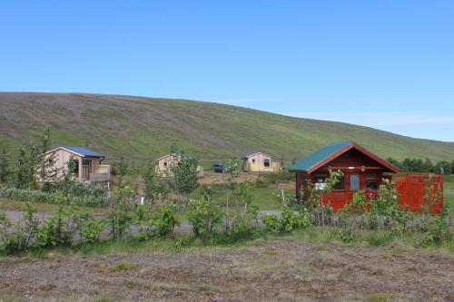 a group of houses on a hill in a field at Hrísmóar in Reykholt