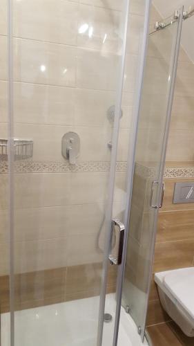 a shower with a glass door in a bathroom at Sarna Karkonosze in Bukowiec
