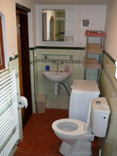 a bathroom with a toilet and a sink at Chaloupka v Podyjí - Podmolí in Podmolí